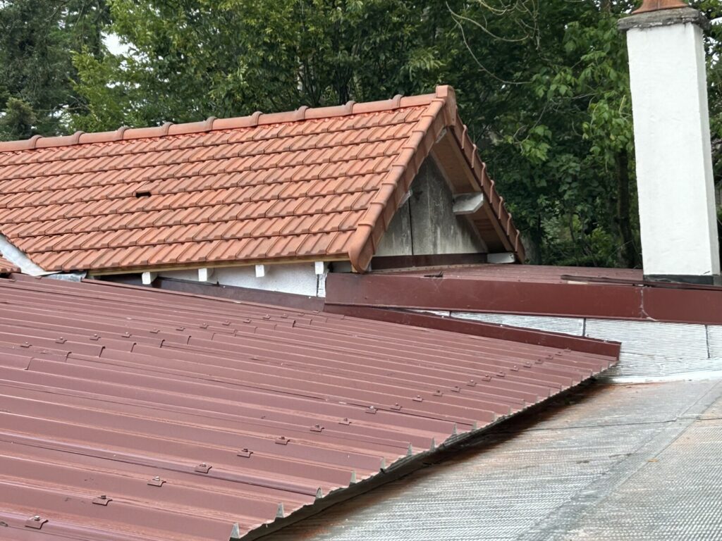 Nettoyage Démoussage toiture